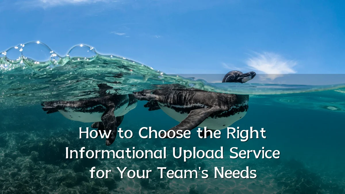 How to Choose the Right Informational Upload Service for Your Team's Needs