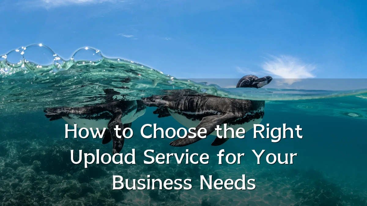 How to Choose the Right Upload Service for Your Business Needs
