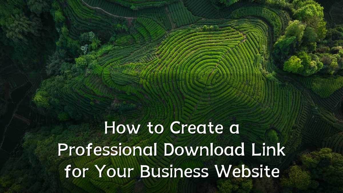 How to Create a Professional Download Link for Your Business Website