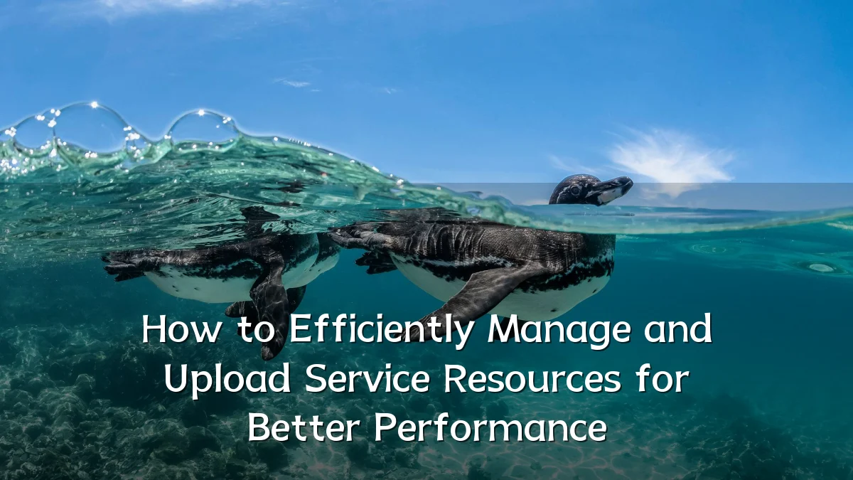 How to Efficiently Manage and Upload Service Resources for Better Performance