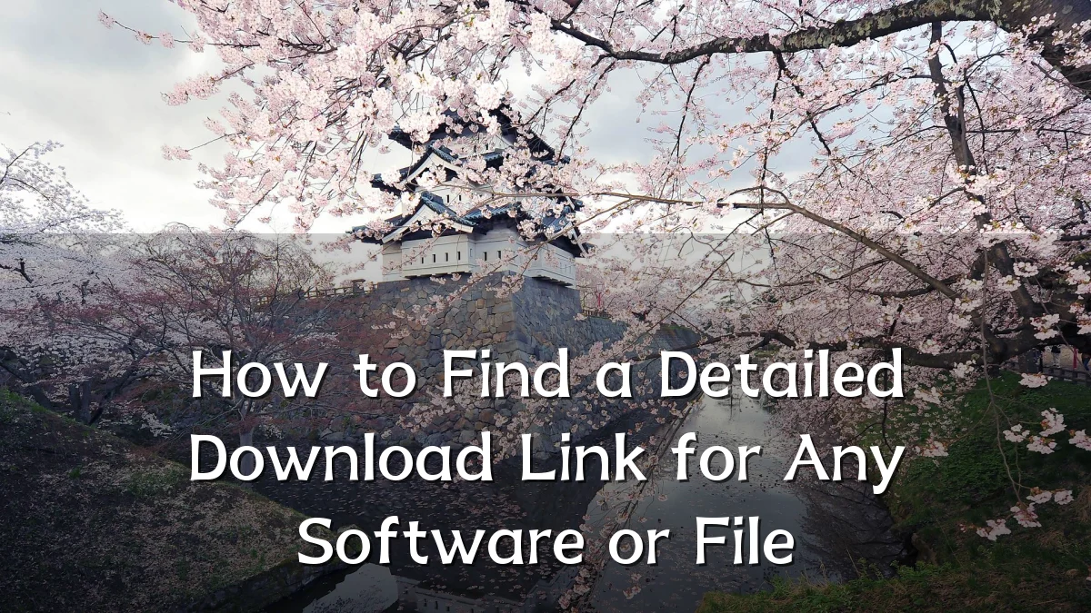 How to Find a Detailed Download Link for Any Software or File