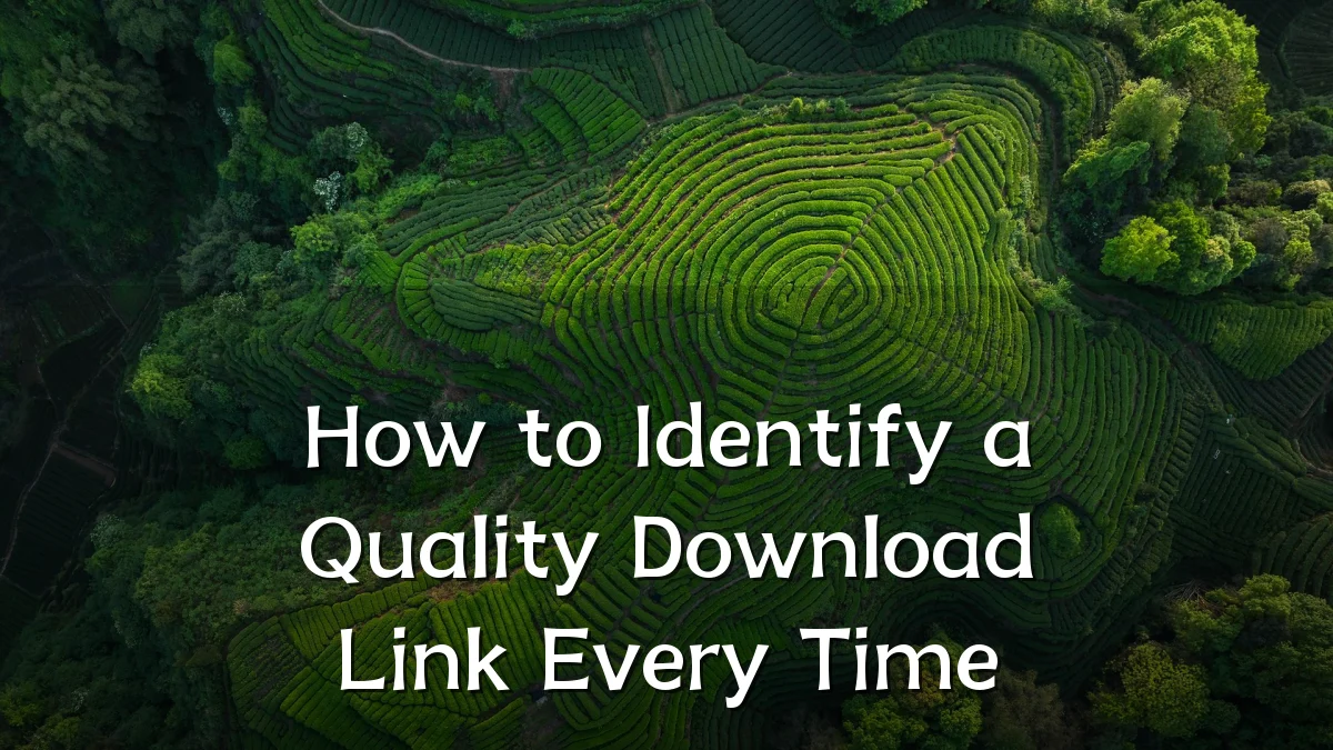 How to Identify a Quality Download Link Every Time