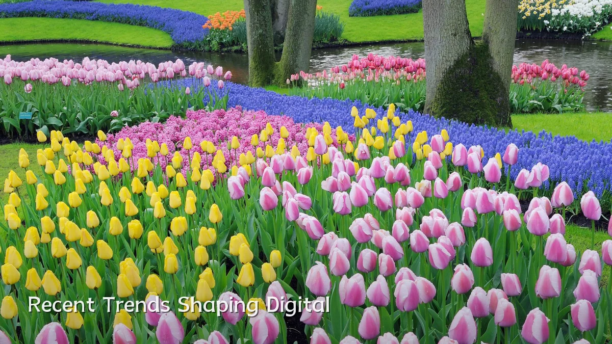 Recent Trends Shaping Digital