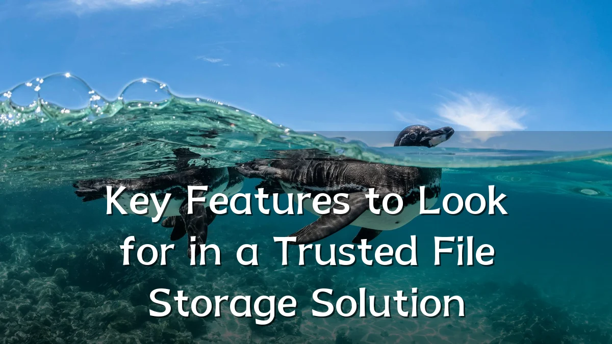 Key Features to Look for in a Trusted File Storage Solution