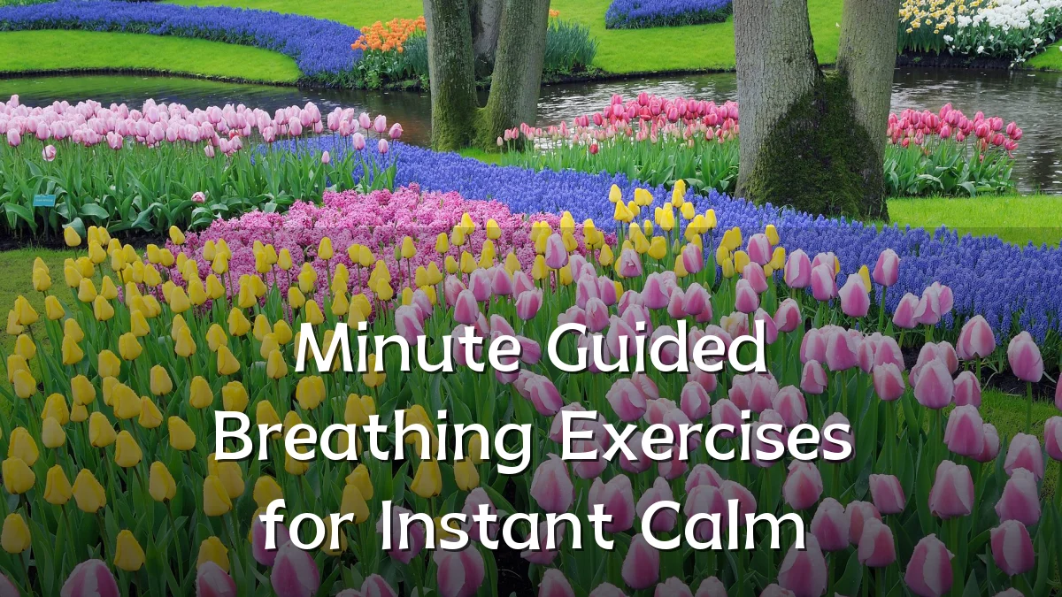 Minute Guided Breathing Exercises for Instant Calm