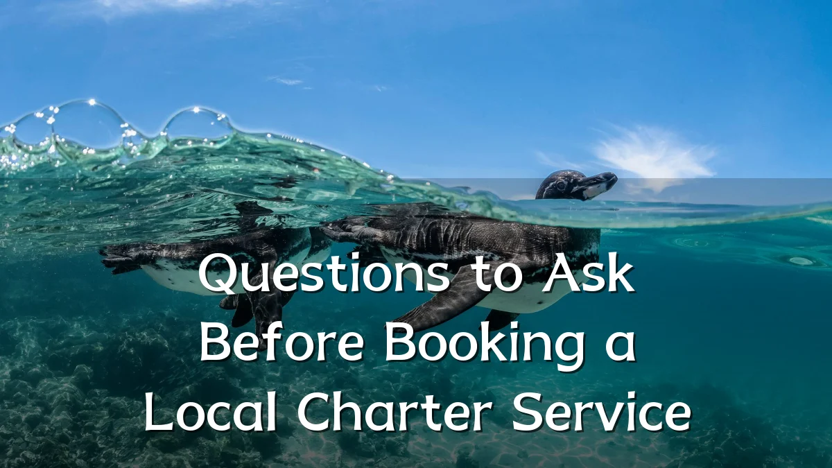 Questions to Ask Before Booking a Local Charter Service