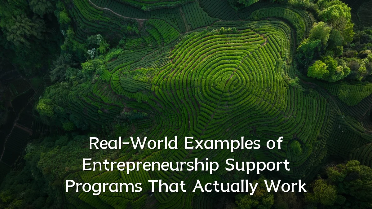 Real-World Examples of Entrepreneurship Support Programs That Actually Work
