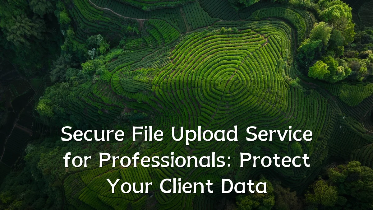 Secure File Upload Service for Professionals: Protect Your Client Data
