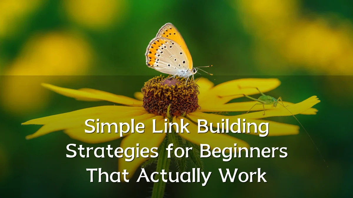 Simple Link Building Strategies for Beginners That Actually Work