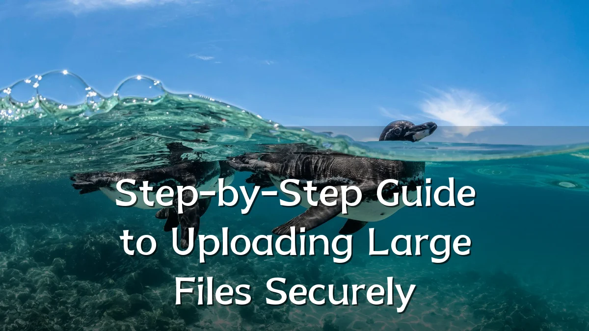 Step-by-Step Guide to Uploading Large Files Securely