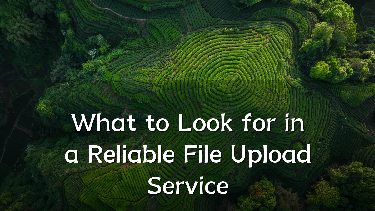 What to Look for in a Reliable File Upload Service