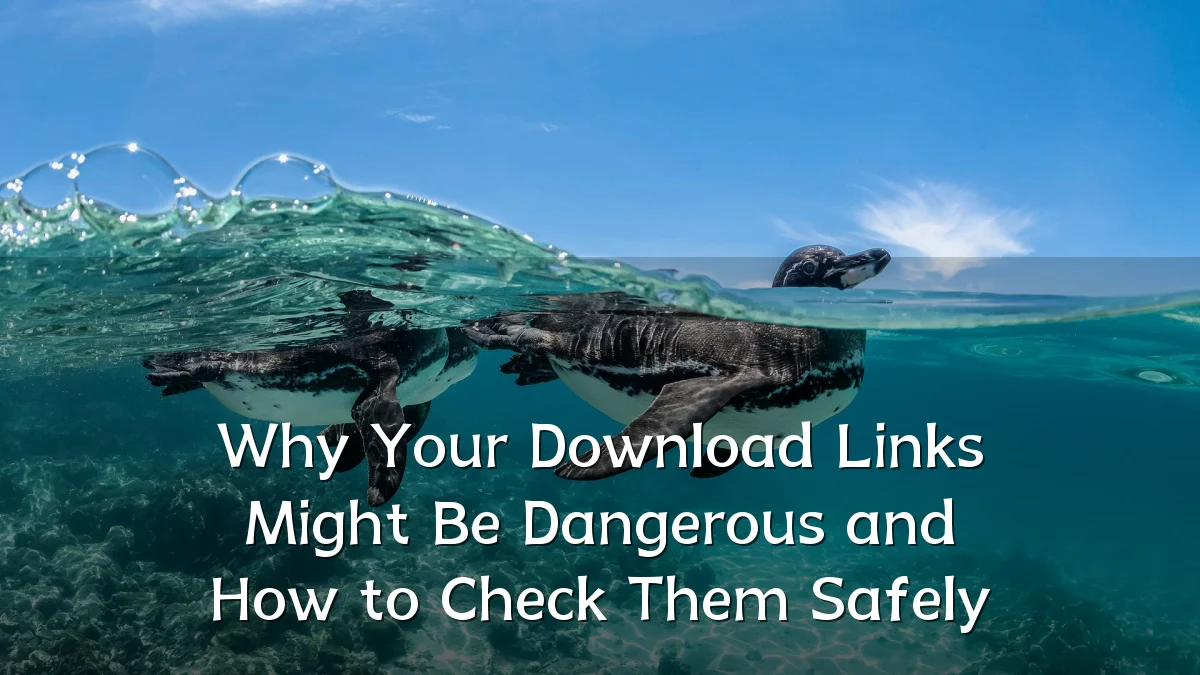 Why Your Download Links Might Be Dangerous and How to Check Them Safely