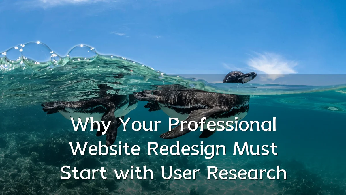 Why Your Professional Website Redesign Must Start with User Research