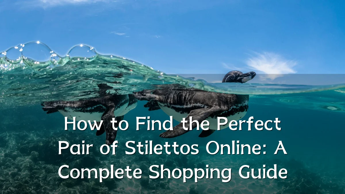 How to Find the Perfect Pair of Stilettos Online: A Complete Shopping Guide
