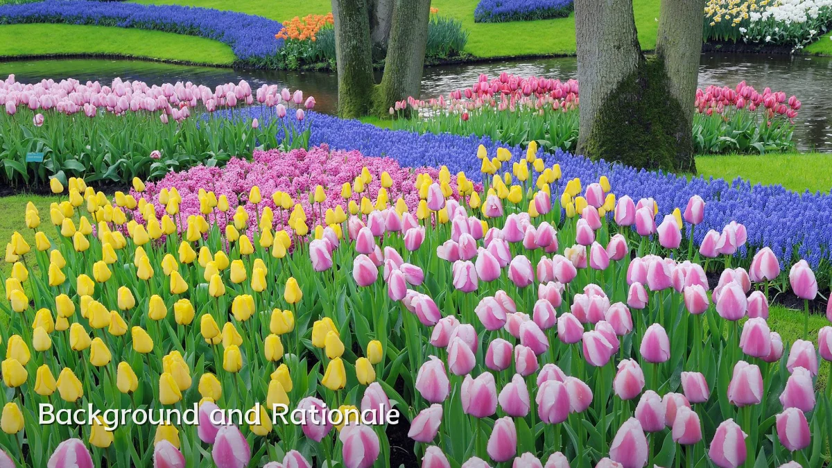 Background and Rationale