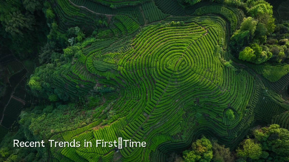 Recent Trends in First‑Time