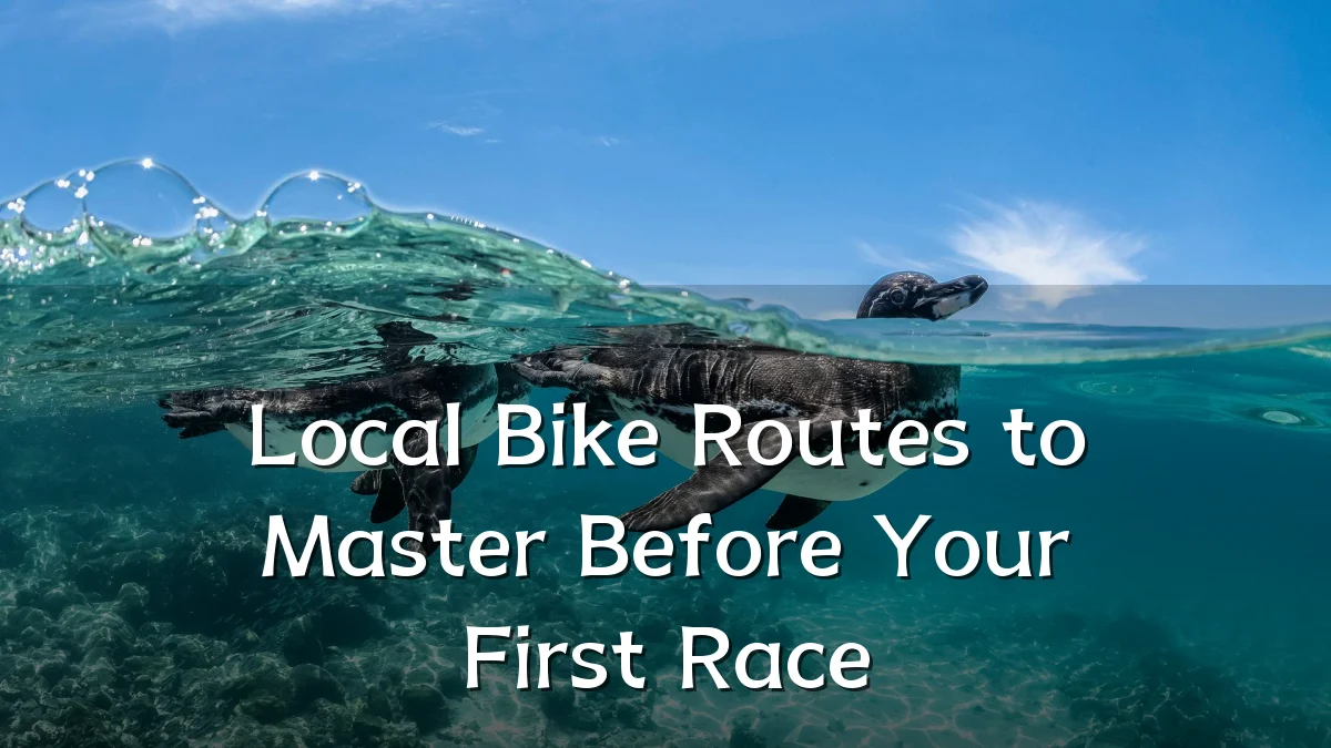 Local Bike Routes to Master Before Your First Race