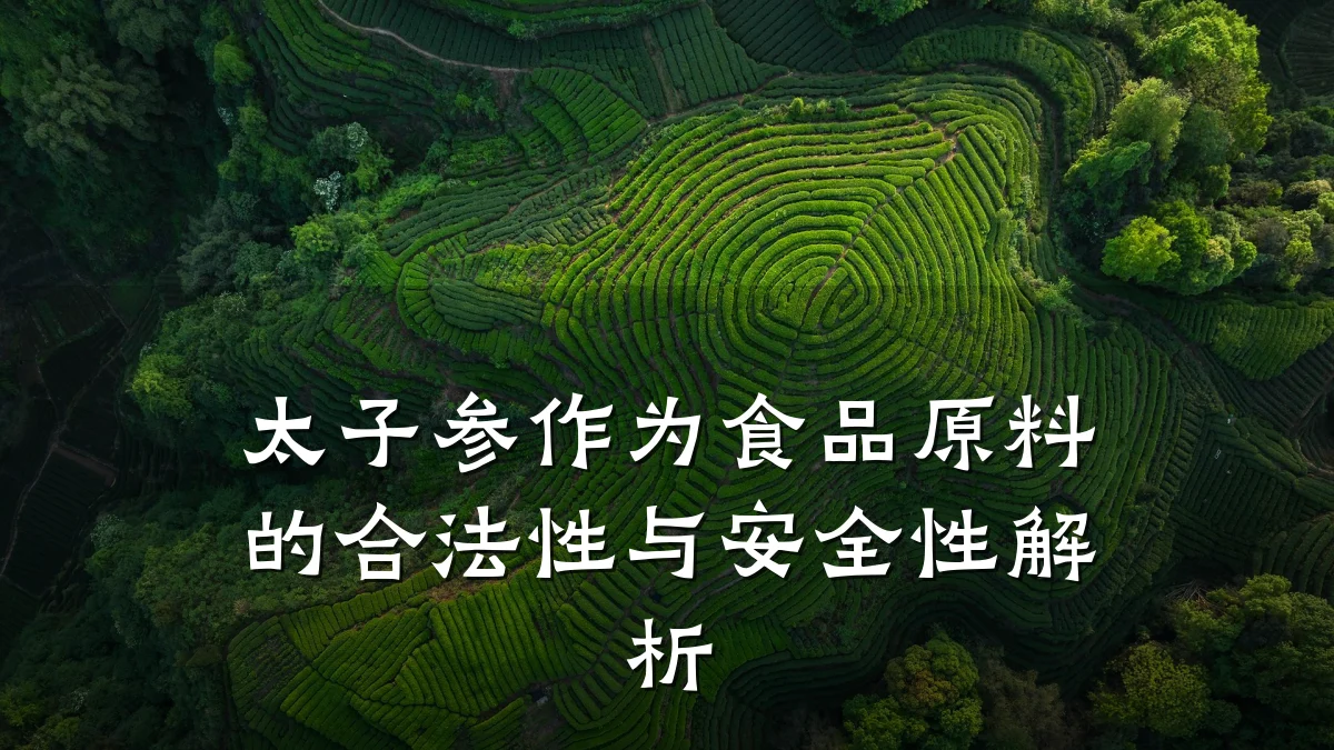 太子参作为食品原料的合法性与安全性解析