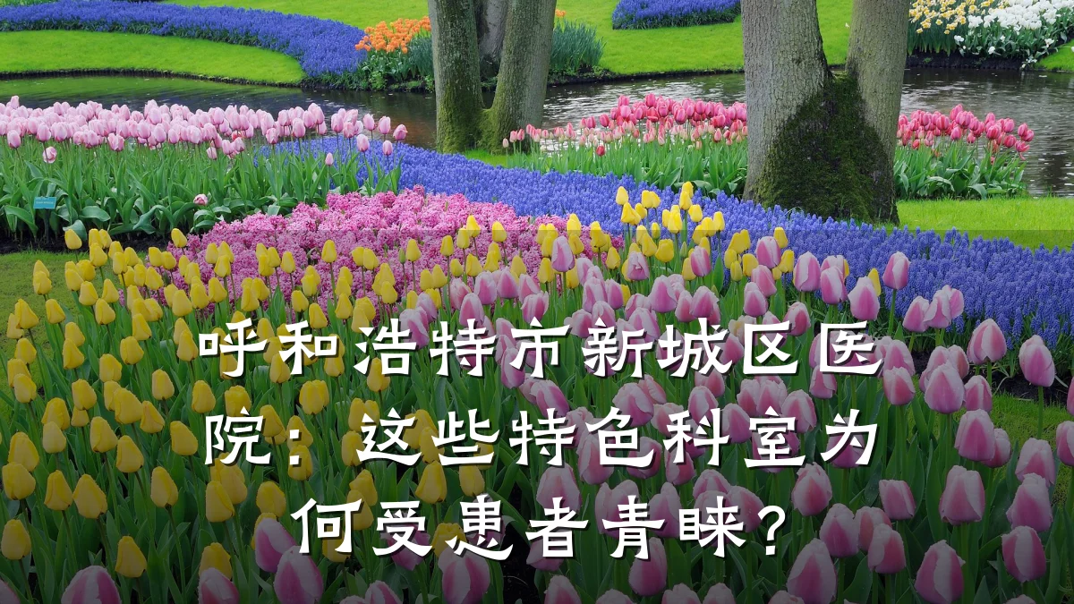 呼和浩特市新城区医院：这些特色科室为何受患者青睐？