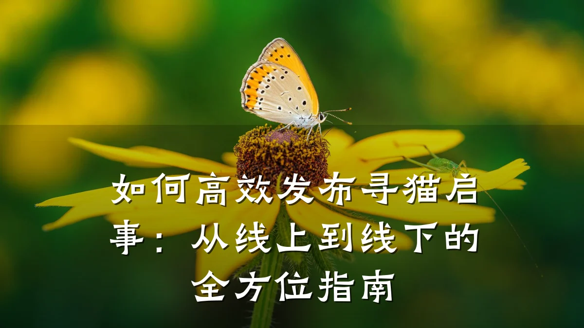 如何高效发布寻猫启事：从线上到线下的全方位指南