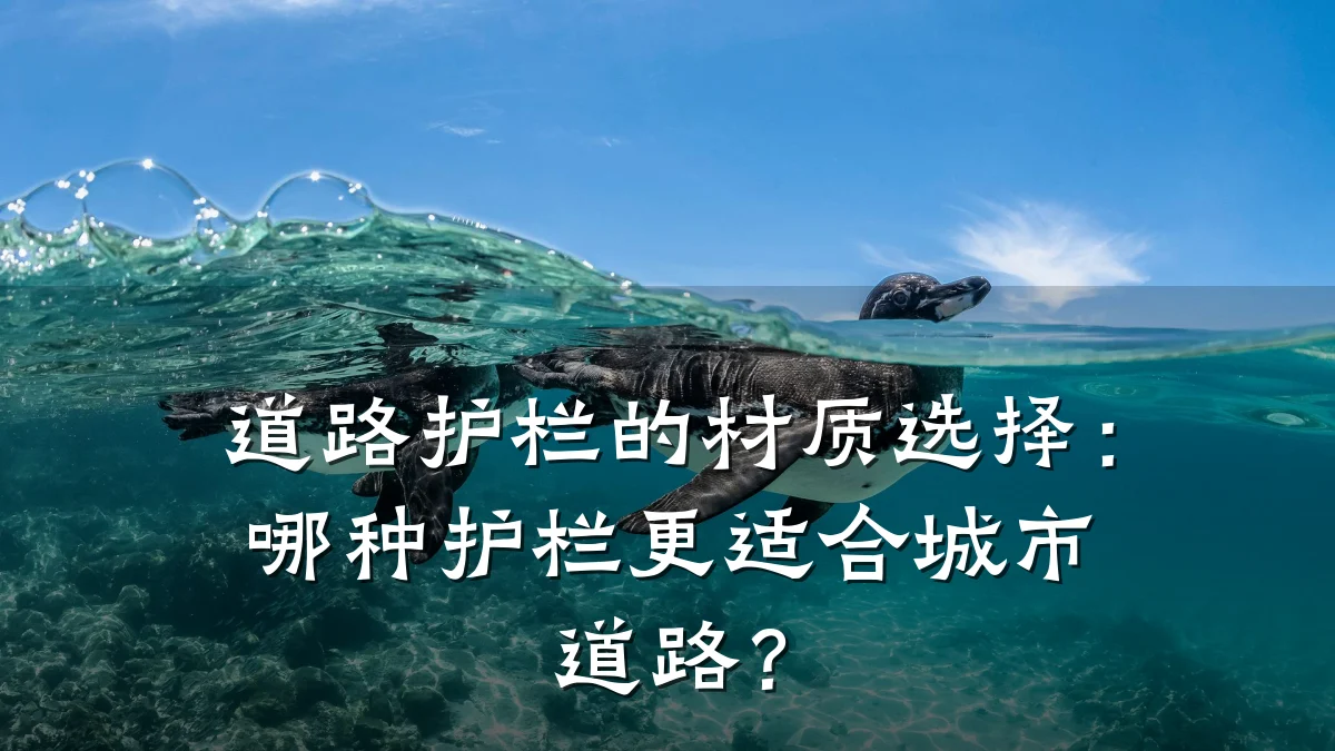 道路护栏的材质选择:哪种护栏更适合城市道路?