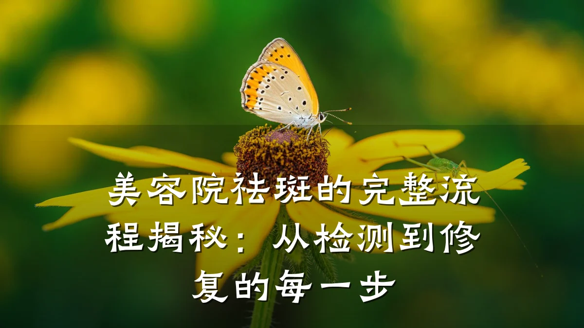 美容院祛斑的完整流程揭秘：从检测到修复的每一步