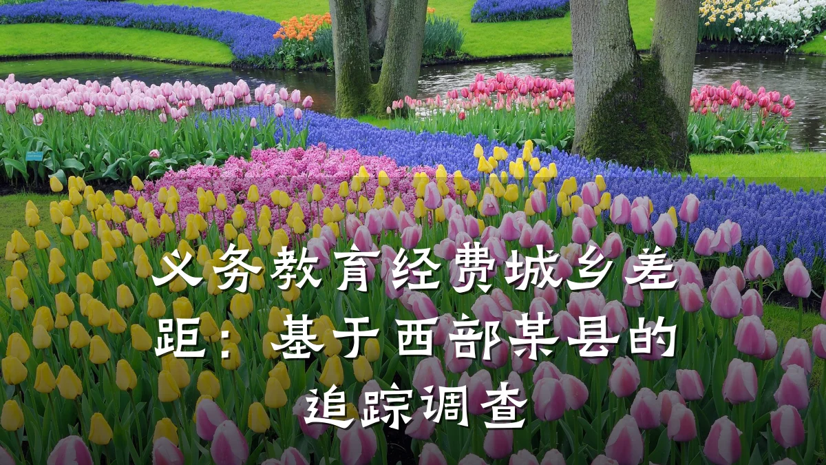 义务教育经费城乡差距：基于西部某县的追踪调查