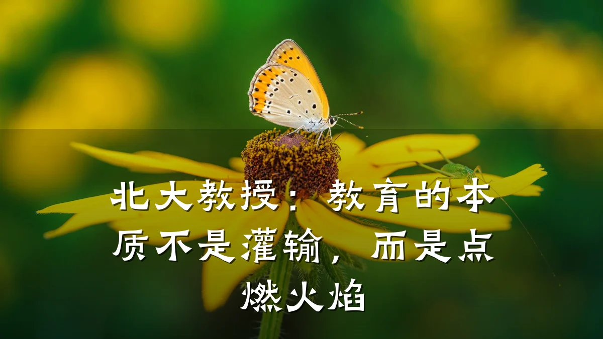 北大教授:教育的本质不是灌输,而是点燃火焰