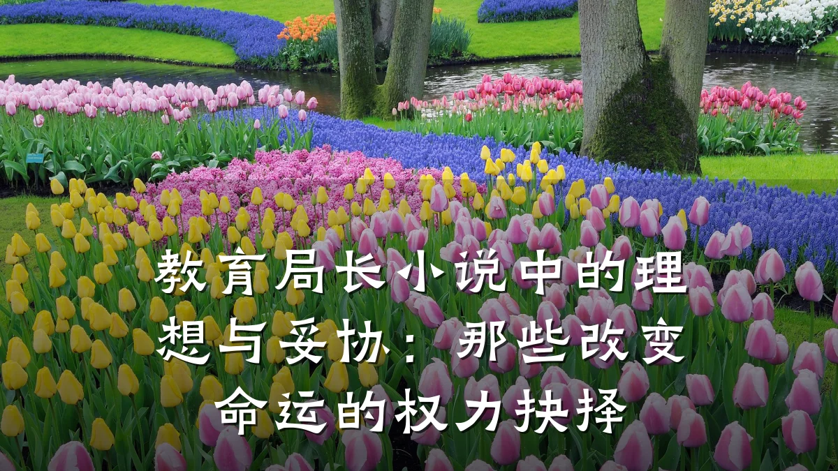 教育局长小说中的理想与妥协：那些改变命运的权力抉择