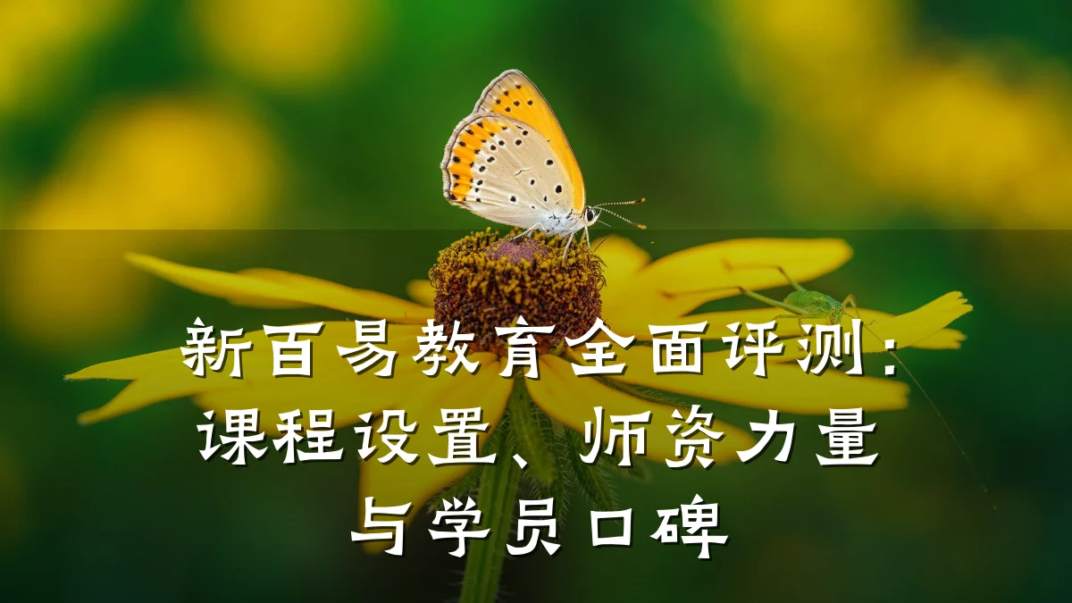 新百易教育全面评测：课程设置、师资力量与学员口碑