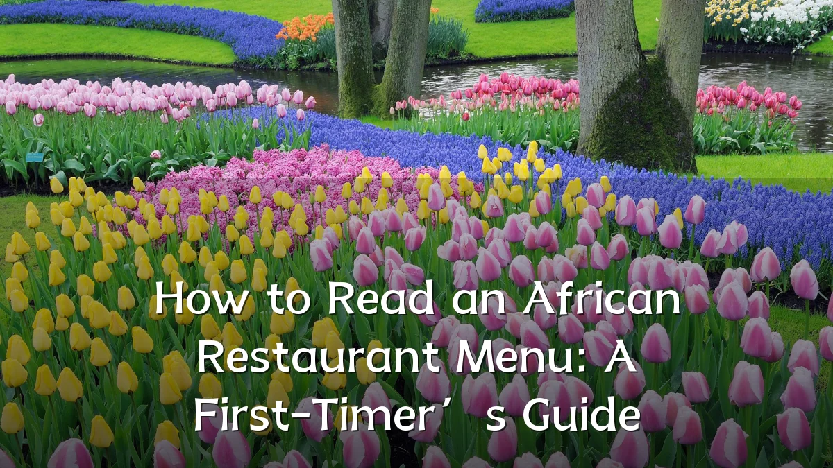 How to Read an African Restaurant Menu: A First-Timer’s Guide