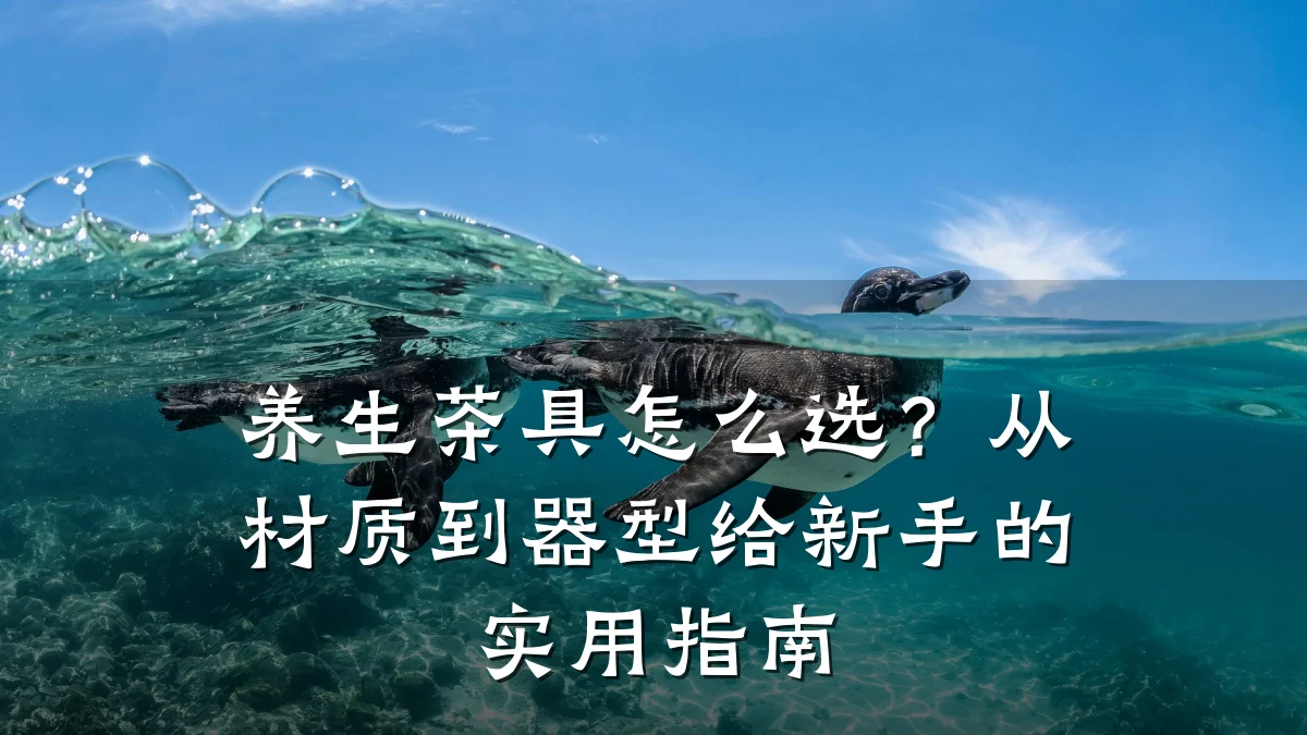 养生茶具怎么选？从材质到器型给新手的实用指南
